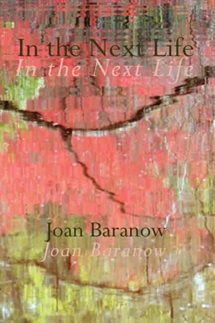 In the Next Life - Paperback