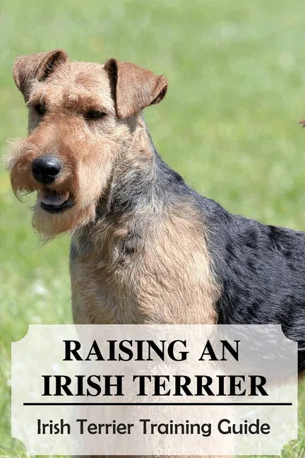 Raising An Irish Terrier: Irish Terrier Training Guide: Best Ways To Exercise Your Irish Terrier? - Paperback