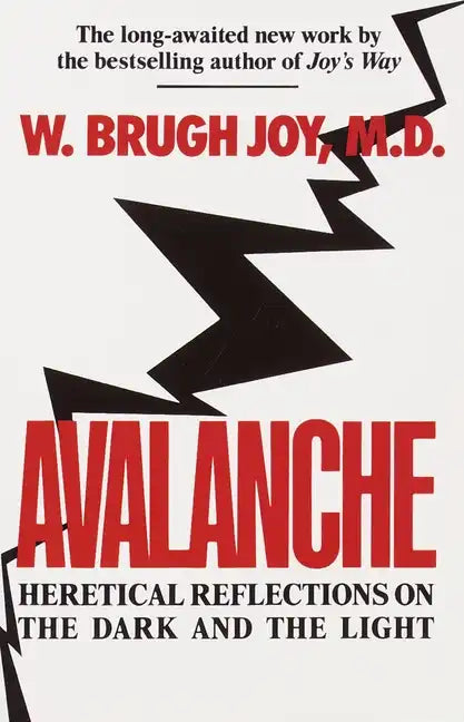 Avalanche: Heretical Reflections on the Dark and the Light - Paperback