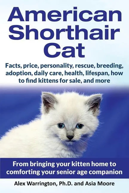 American Shorthair Cat: From bringing your kitten home to comforting your senior age companion - Paperback