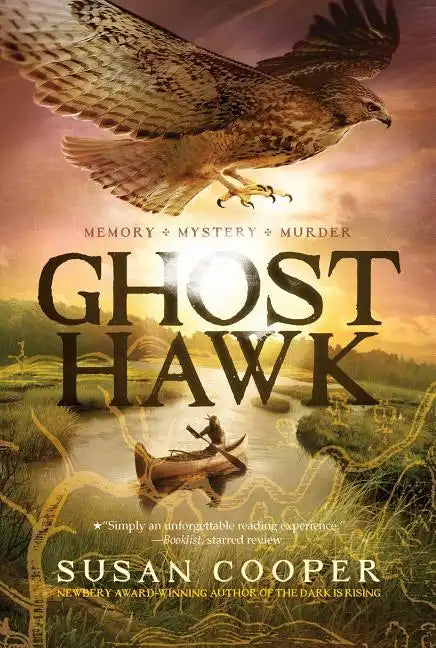 Ghost Hawk - Paperback