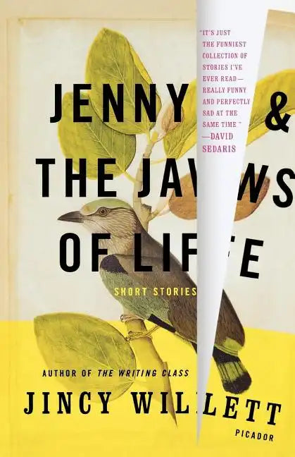 Jenny and the Jaws of Life: Short Stories - Paperback