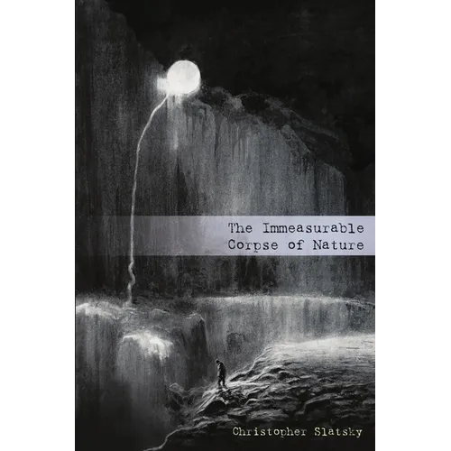 The Immeasurable Corpse of Nature - Paperback