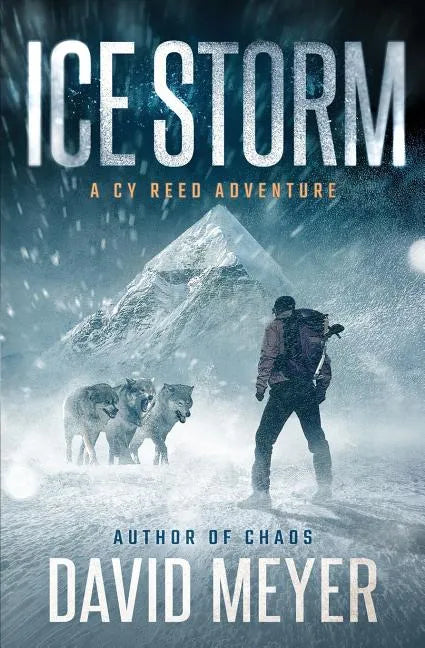 Ice Storm - Paperback
