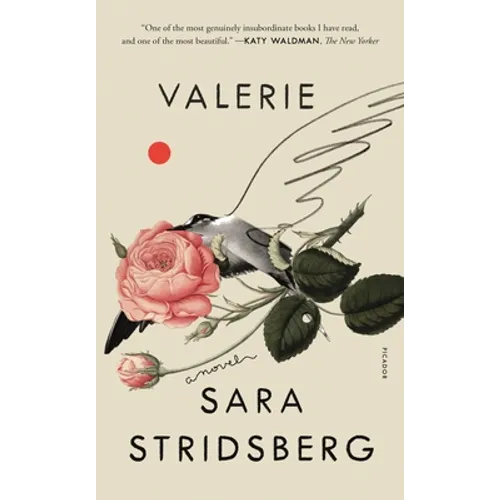 Valerie: Or, the Faculty of Dreams: A Novel - Paperback