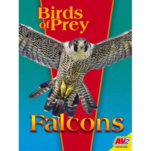 Falcons - Paperback