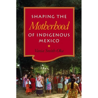 Shaping the Motherhood of Indigenous Mexico - Hardcover