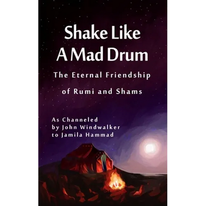 Shake Like A Mad Drum: The Eternal Friendship Of Rumi And Shams - Paperback