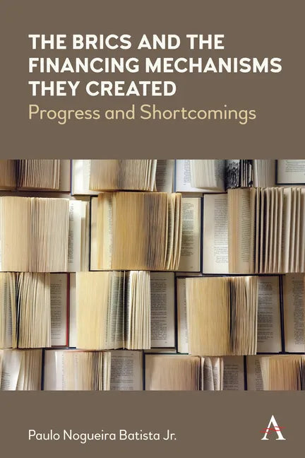 The Brics and the Financing Mechanisms They Created: Progress and Shortcomings - Hardcover