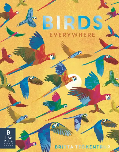 Birds Everywhere - Hardcover
