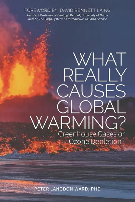 What Really Causes Global Warming?: Greenhouse Gases or Ozone Depletion? - Paperback