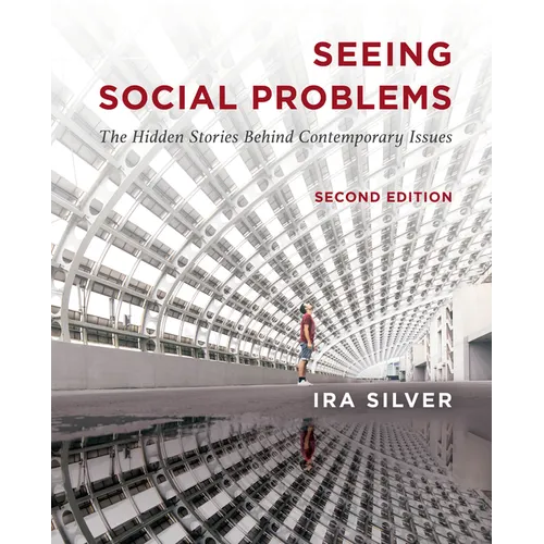 Seeing Social Problems: The Hidden Stories Behind Contemporary Issues - Paperback