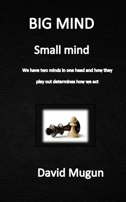 BIG MIND small mind: We have two minds in one head - Paperback