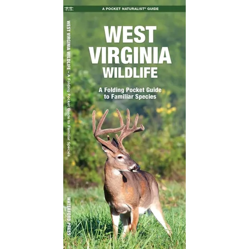 West Virginia Wildlife: An Introduction to Familiar Species - Paperback