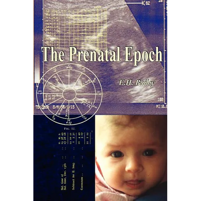 The Prenatal Epoch - Paperback