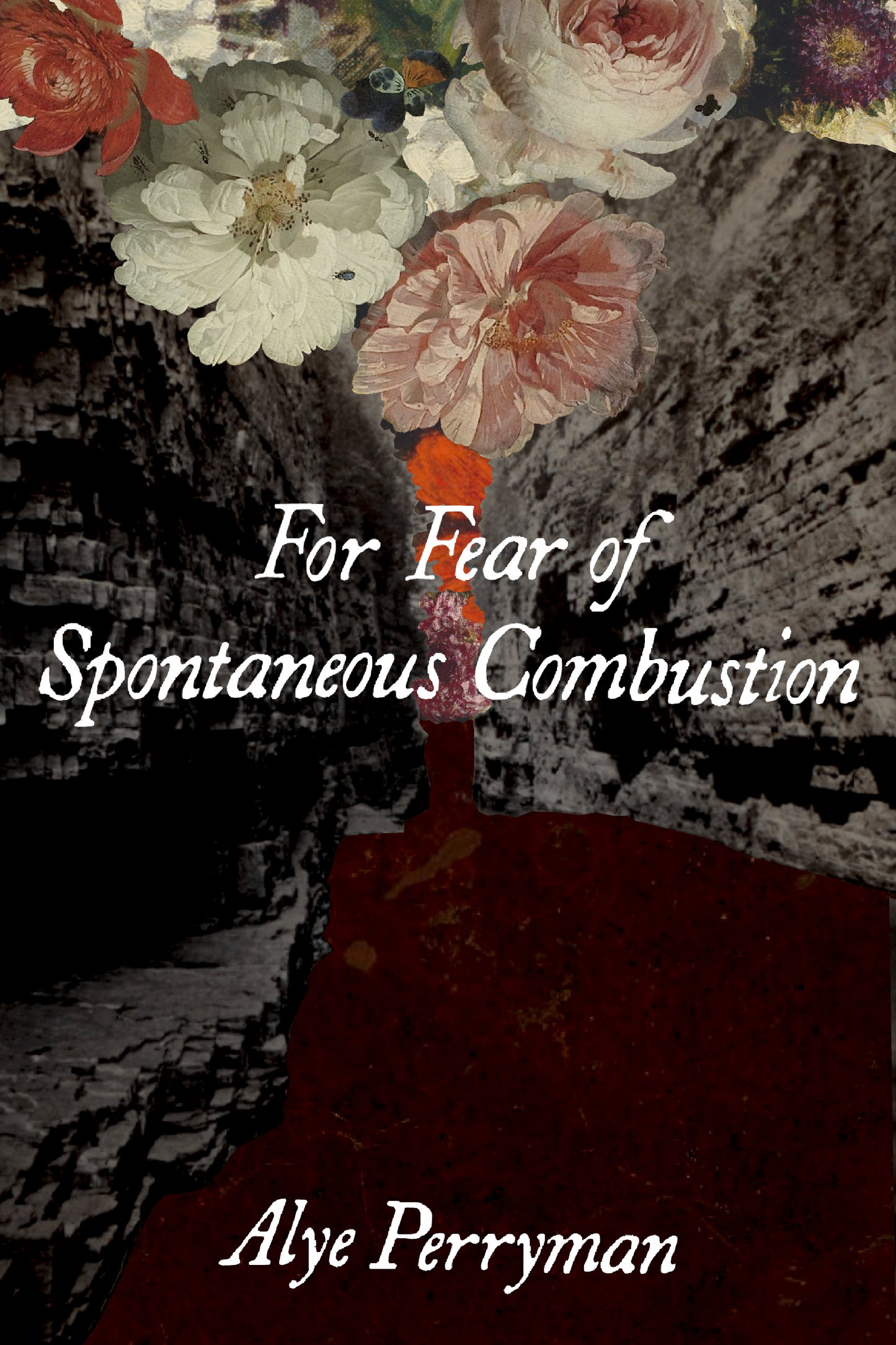 For Fear of Spontaneous Combustion, by Alye Perryman
