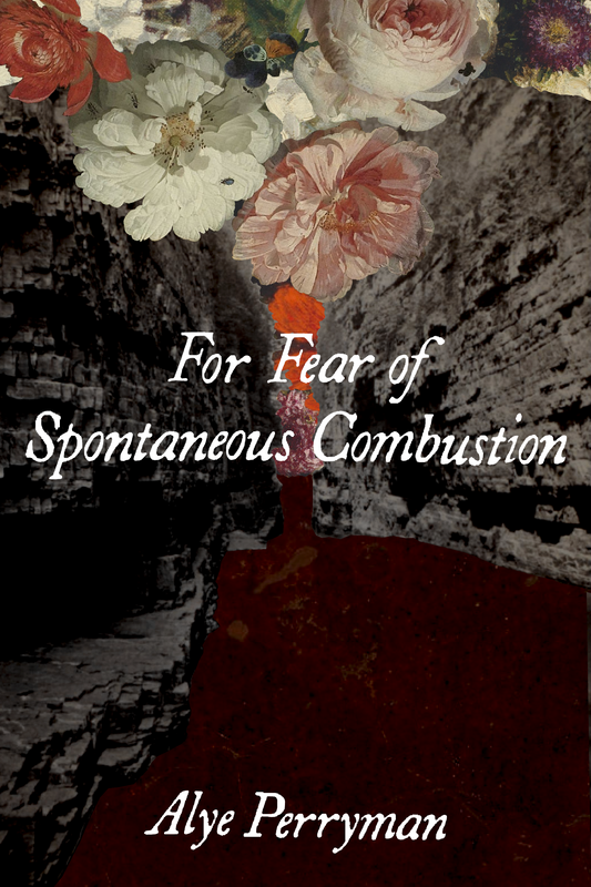 For Fear of Spontaneous Combustion, by Alye Perryman