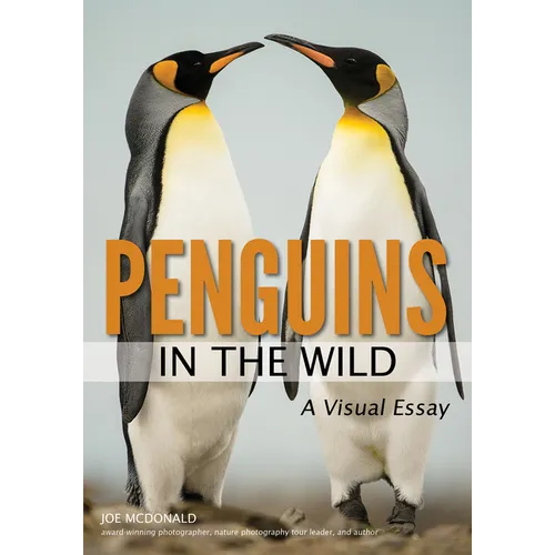 Penguins in the Wild - Paperback