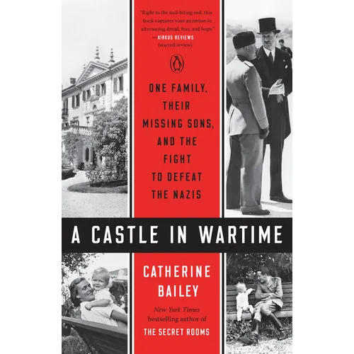 A Castle in Wartime: One Family, Their Missing Sons, and the Fight to Defeat the Nazis - Paperback