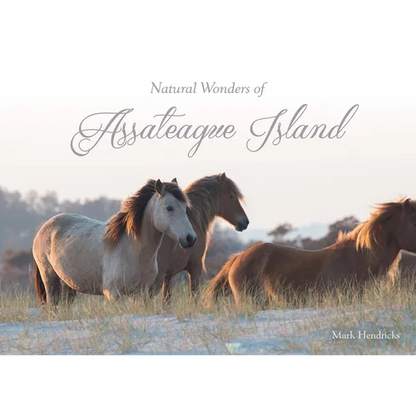 Natural Wonders of Assateague Island - Hardcover