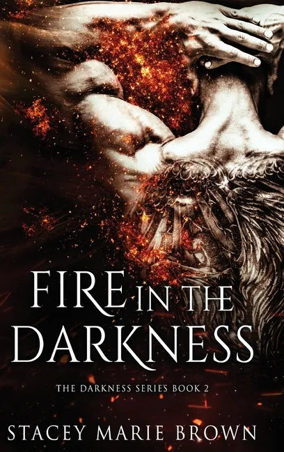 Fire In The Darkness - Hardcover