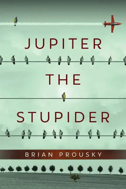 Jupiter the Stupider - Paperback
