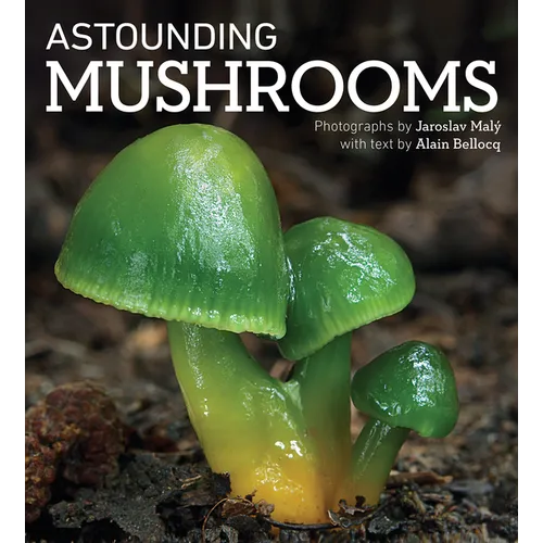 Astounding Mushrooms - Paperback