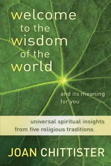 Welcome to the Wisdom of the World and Its Meaning for You - Paperback