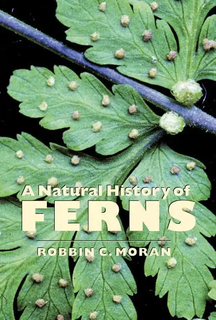 A Natural History of Ferns - Paperback