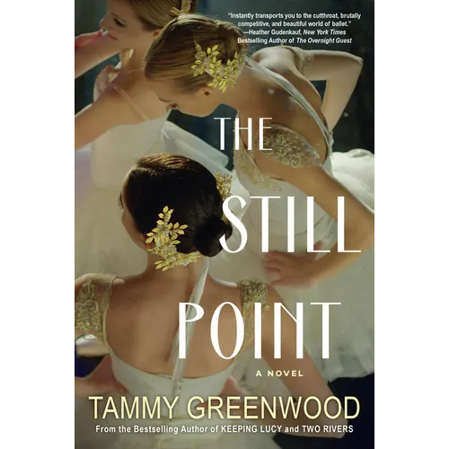 The Still Point: An Addictive Novel of Desire and Jealousy - Paperback