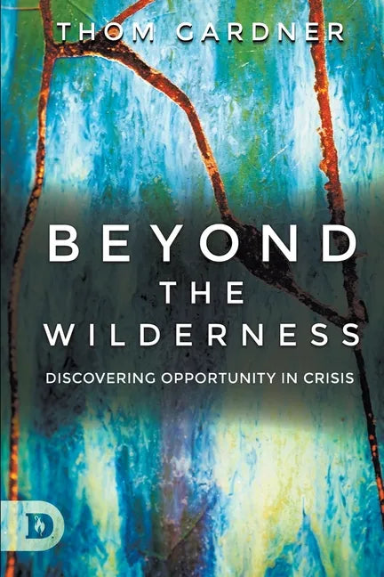 Beyond the Wilderness: Discovering Opportunity In Crisis - Paperback