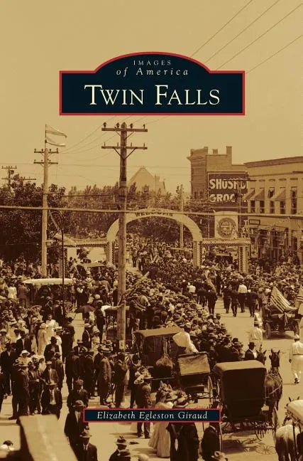 Twin Falls - Hardcover