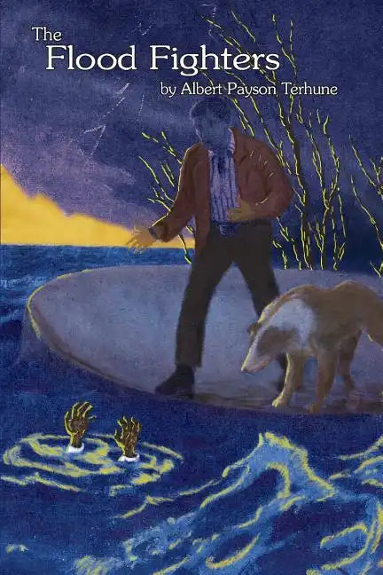 The Flood Fighters - Paperback