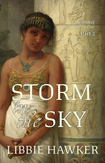 Storm in the Sky - Paperback