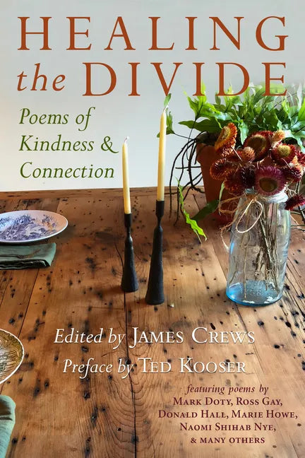 Healing the Divide: Poems of Kindness and Connection - Paperback