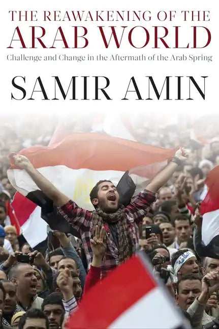 The Reawakening of the Arab World: Challenge and Change in the Aftermath of the Arab Spring - Paperback