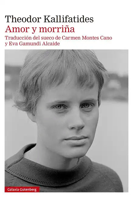 Amor Y Morriña - Paperback