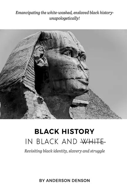 Black History in Black and White: Revisiting Black Identity, Slavery and Struggle - Paperback