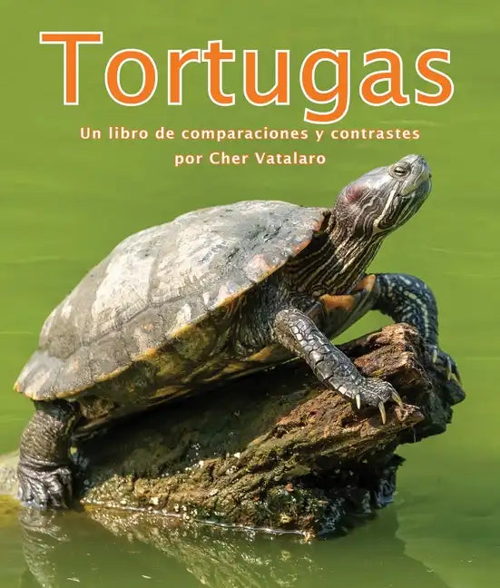 Tortugas: Un Libro de Comparaciones Y Contrastes - Paperback
