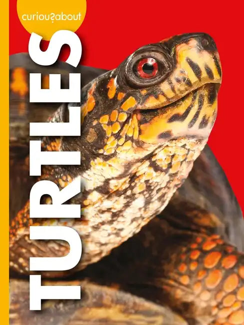 Curious about Turtles - Paperback
