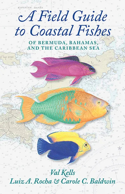 A Field Guide to Coastal Fishes of Bermuda, Bahamas, and the Caribbean Sea - Paperback