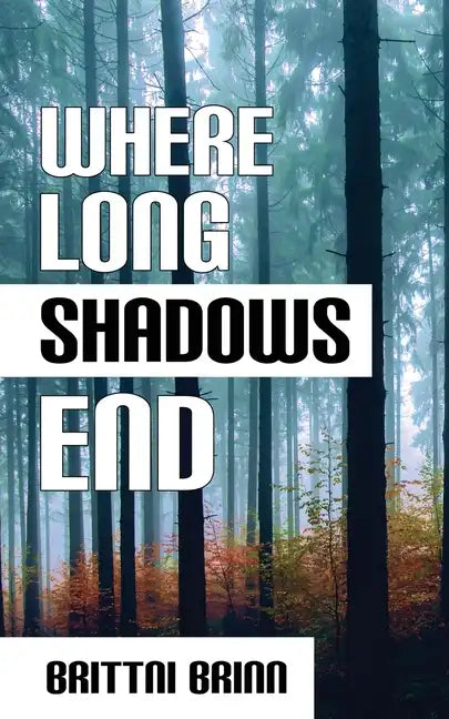 Where Long Shadows End - Paperback