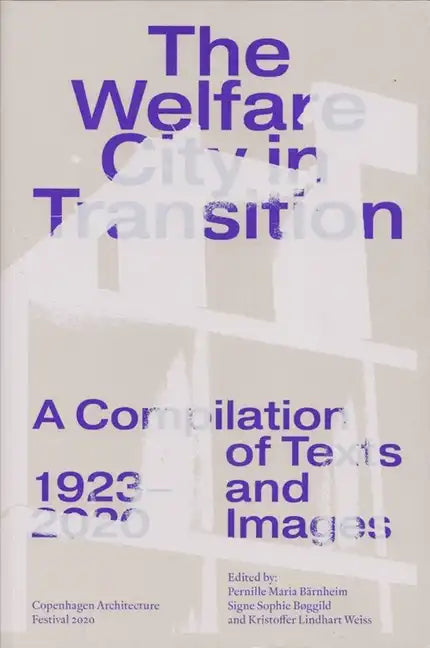 The Welfare City in Transition - Paperback