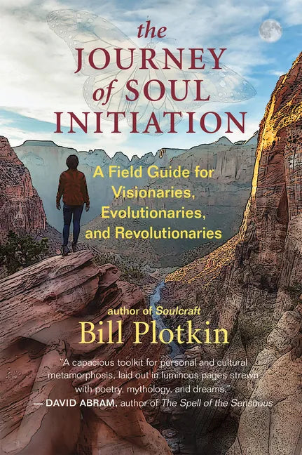 The Journey of Soul Initiation: A Field Guide for Visionaries, Evolutionaries, and Revolutionaries - Paperback