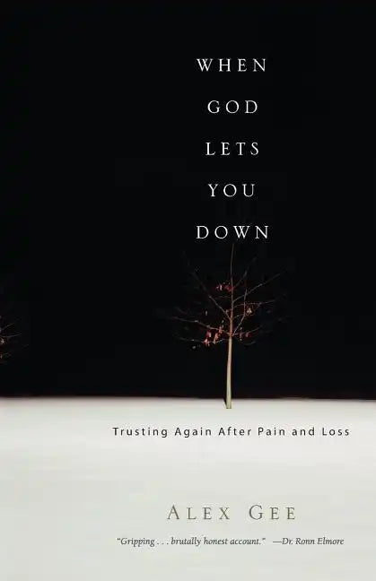 When God Lets You Down: Trusting Again After Pain and Loss - Paperback