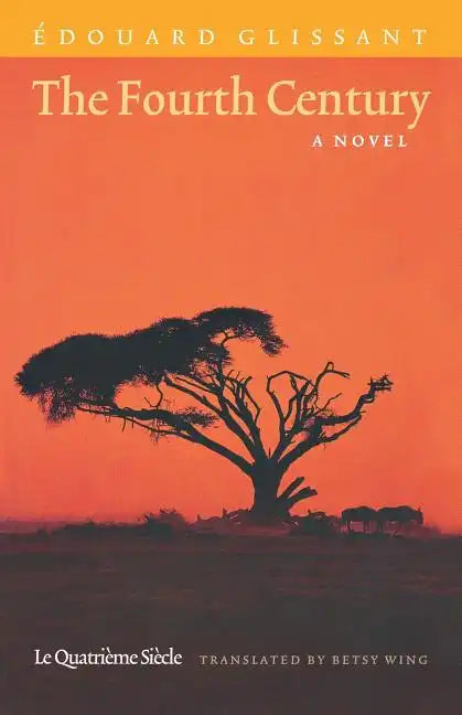 The Fourth Century - Paperback