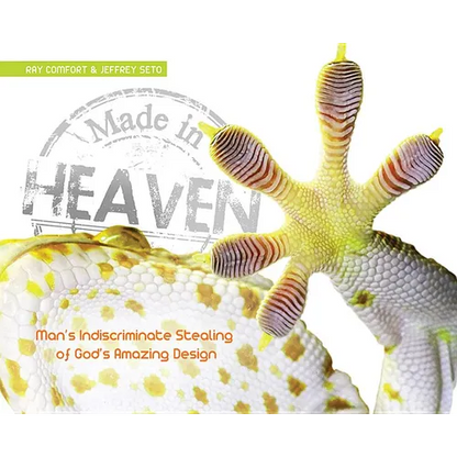 Made in Heaven: Man's Indiscriminate Stealing of God's Amazing Design - Hardcover