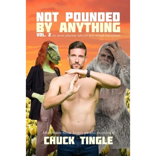 Not Pounded By Anything Vol. 2: Six More Platonic Tales Of Non-Sexual Encounters - Paperback