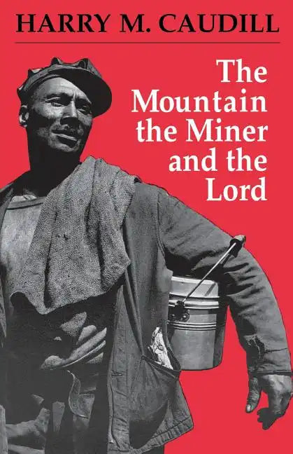 The Mountain, the Miner, and the Lord and Other Tales from a Country Law Office - Paperback