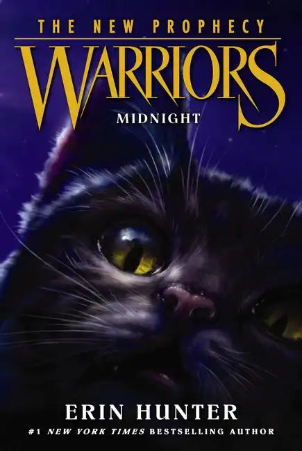 Midnight - Paperback